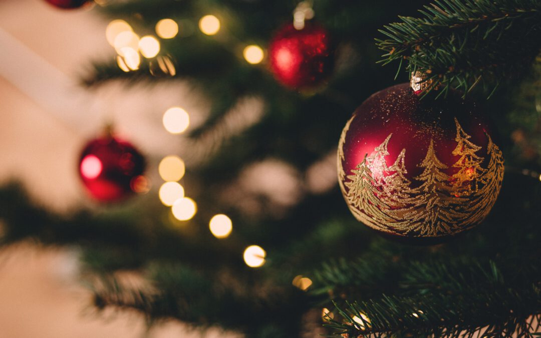 Jongerenambassadeurs Kerstnieuwsbrief!