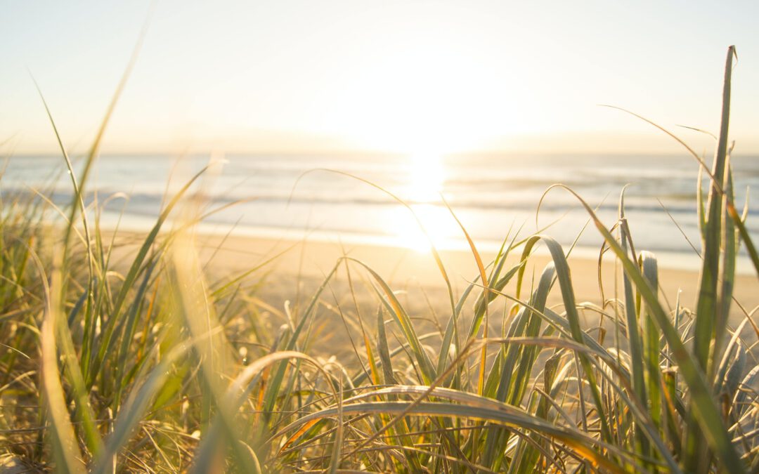 Jongerenambassadeurs Zomertips: Wat ga jij deze zomer doen?